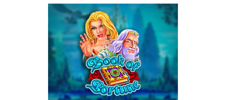 Book of Fortune Slot Review-image